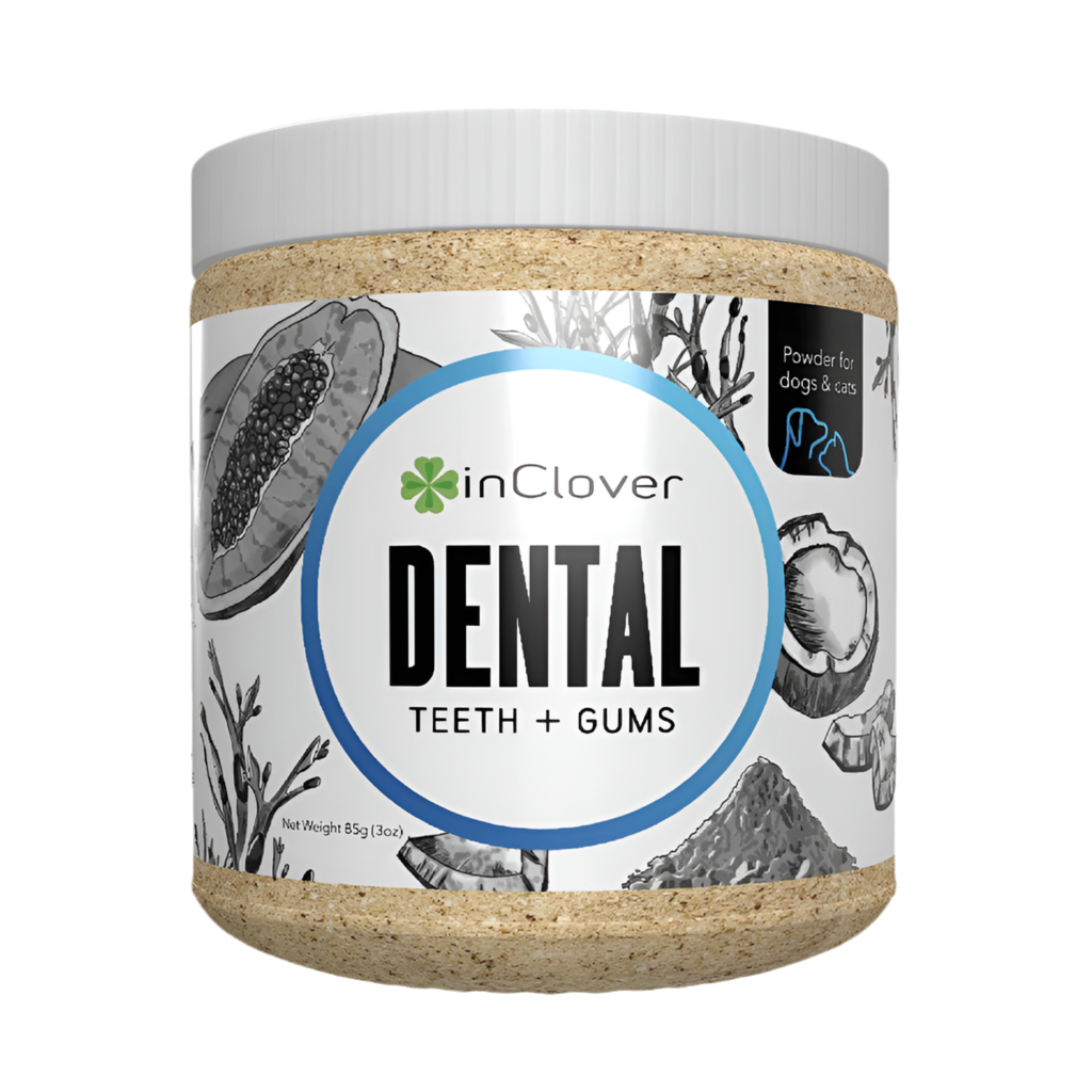 Dental Supplement
