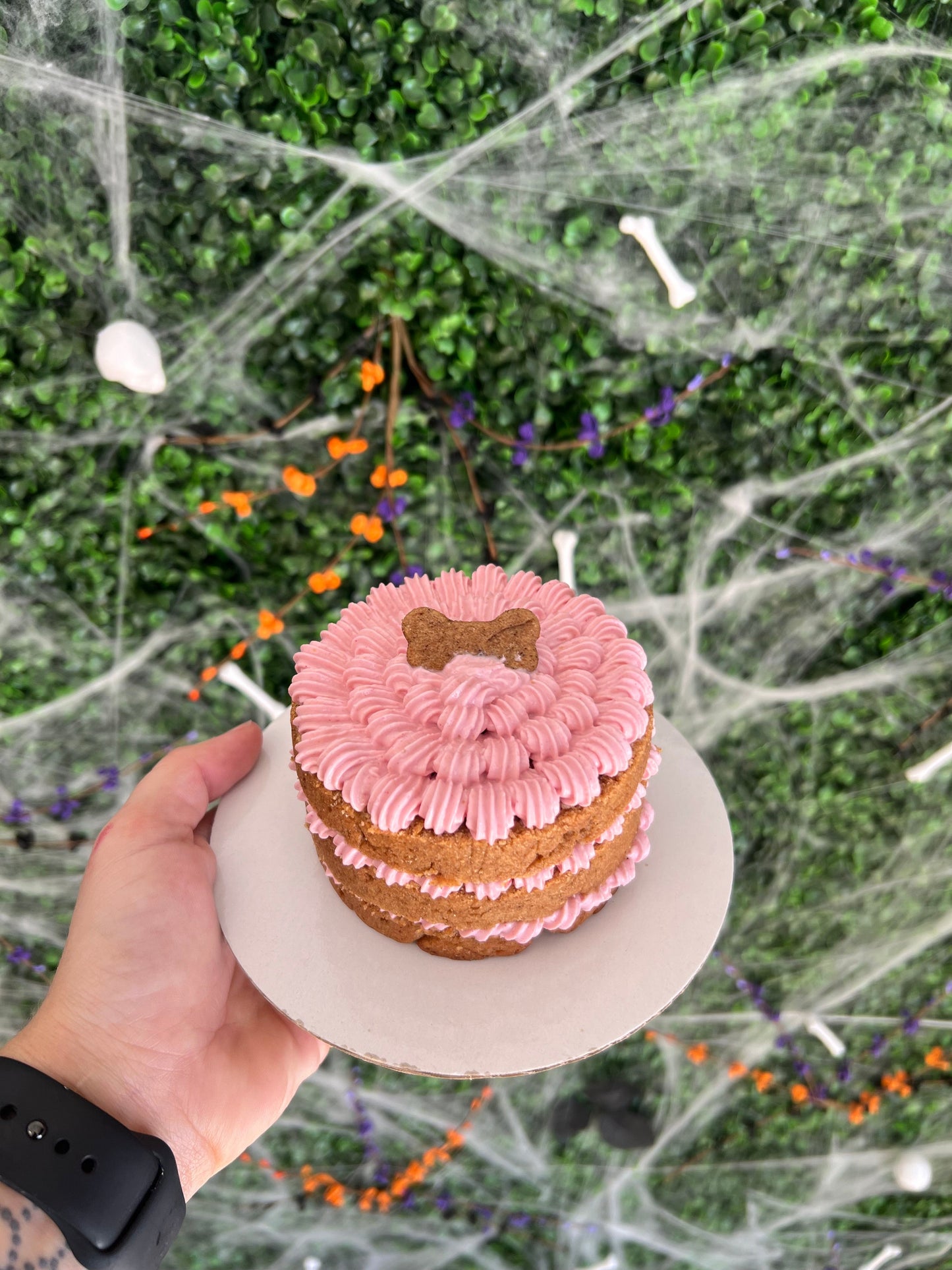 4inch Simple Cake Organic - The Barkery LLC