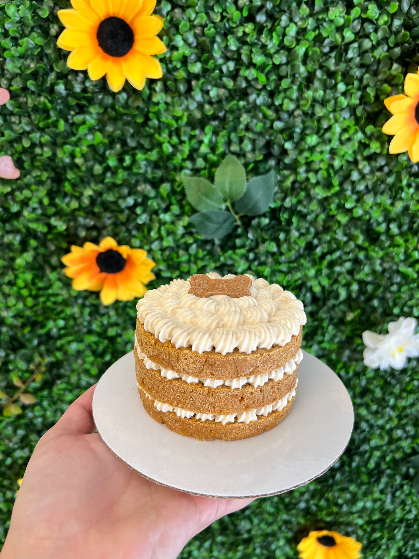 4inch Simple Cake Organic - The Barkery LLC