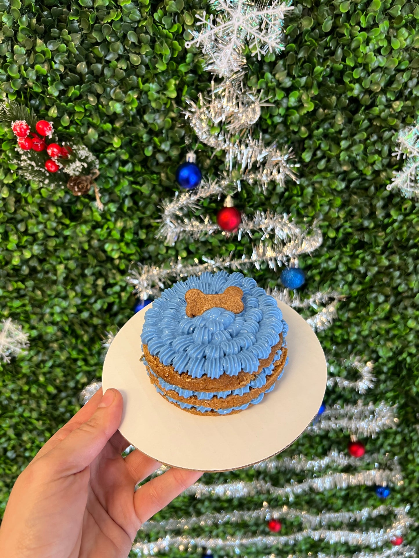 4inch Simple Cake Organic - The Barkery LLC
