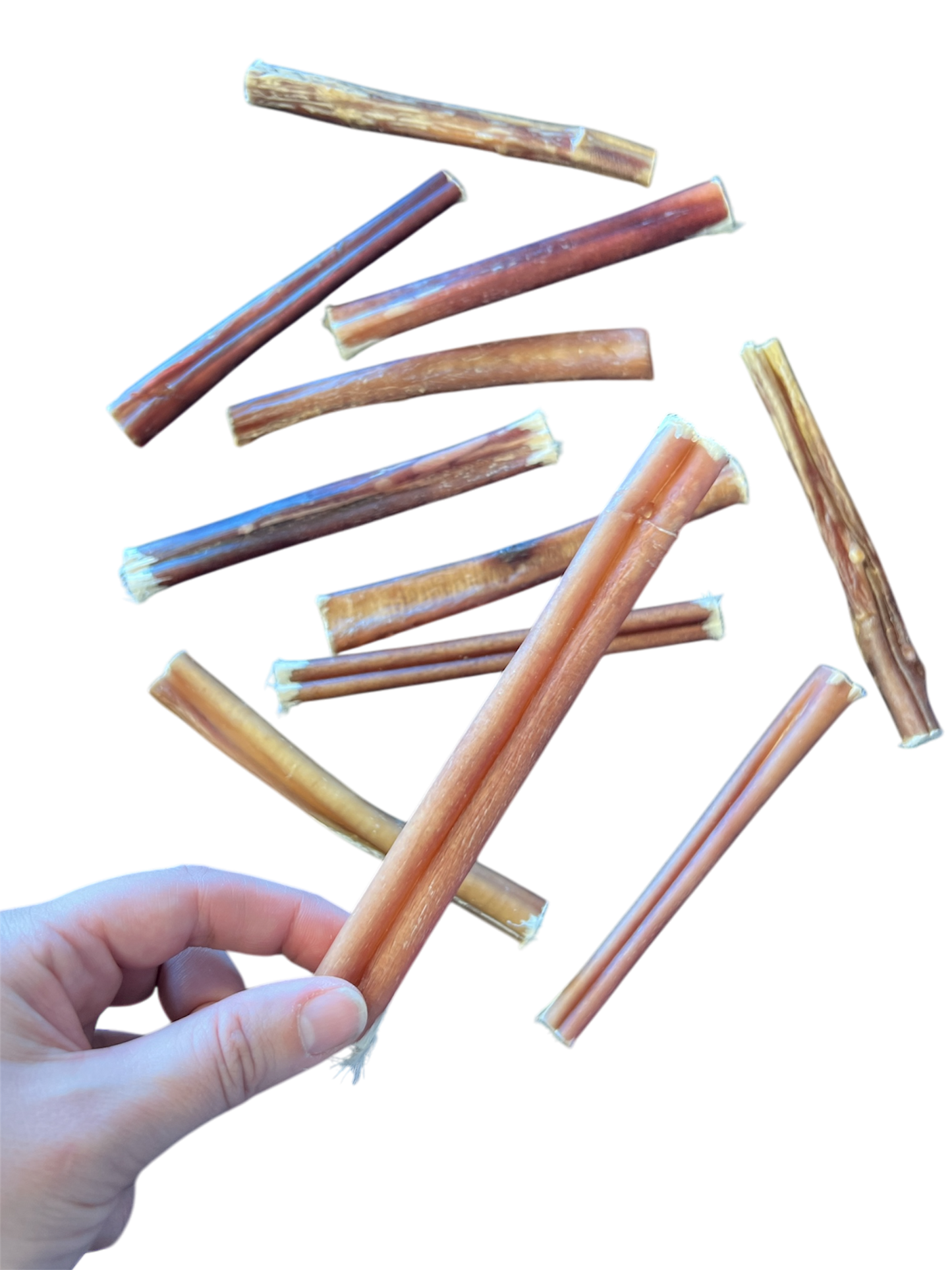 6 inch bully stick – odor free
