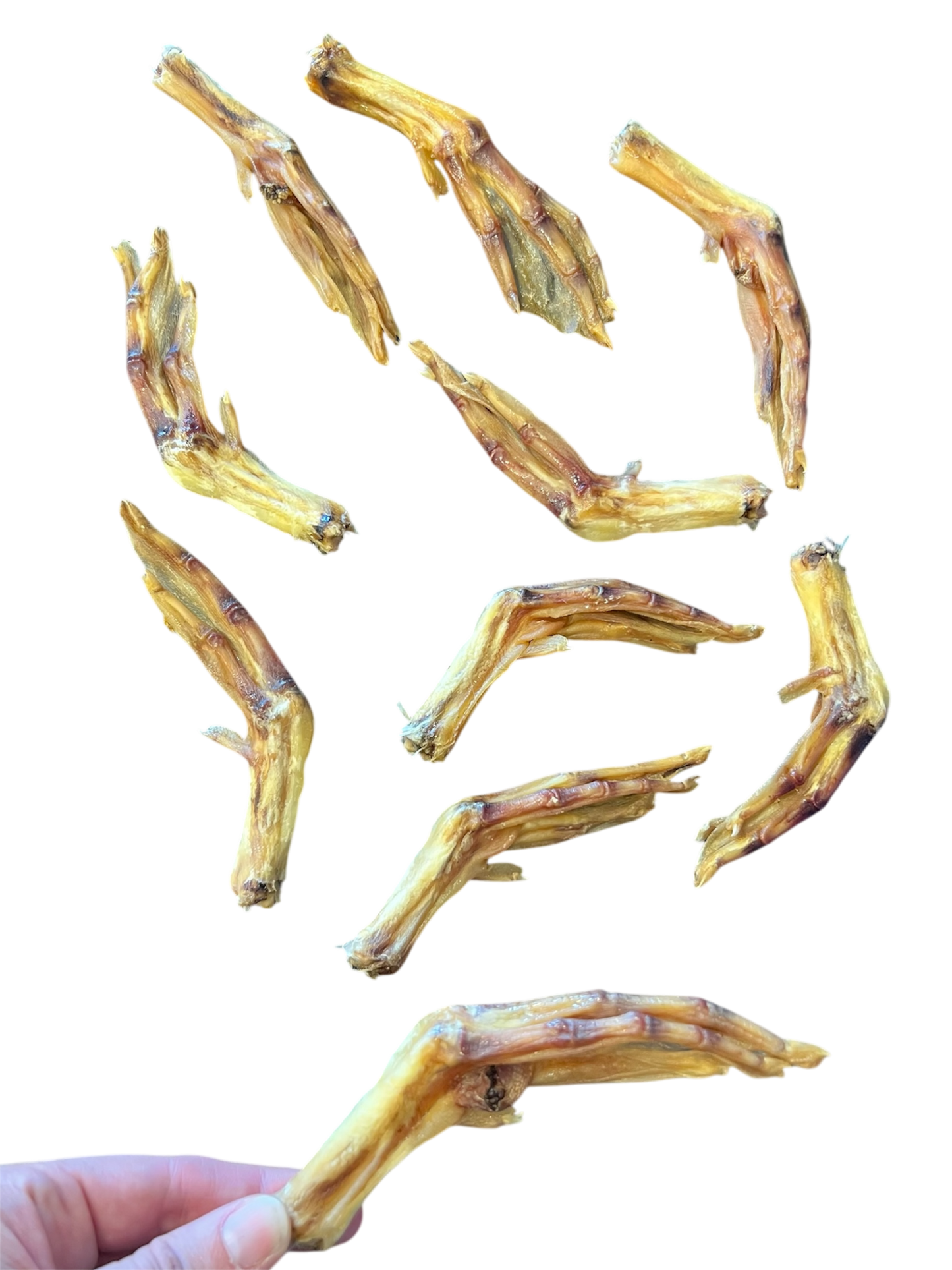 Organic Duck Feet for Dogs – Healthy, Digestible Joint Support