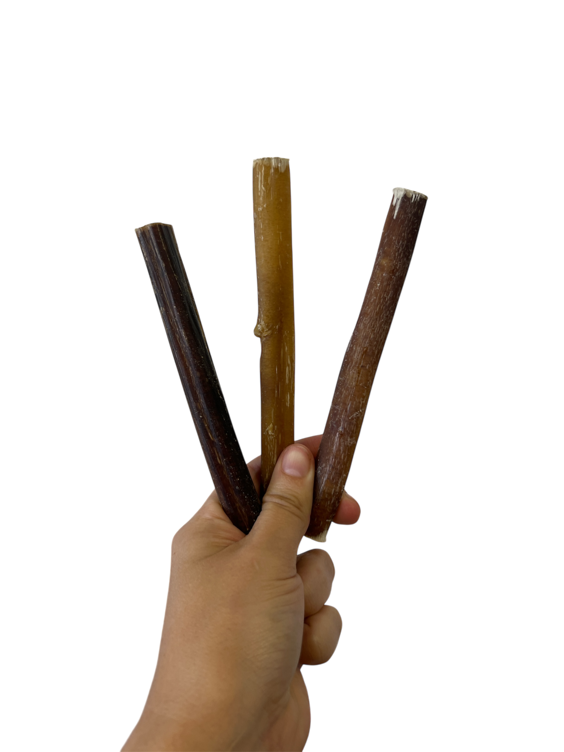 6 inch bully stick – odor free