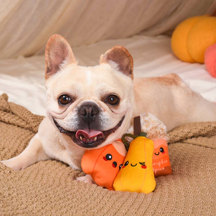 Autumn Tailz | Pumpkin Play - The Barkery LLC