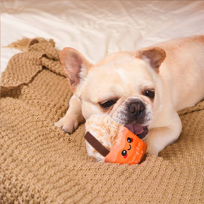 Autumn Tailz | Pumpkin Play - The Barkery LLC
