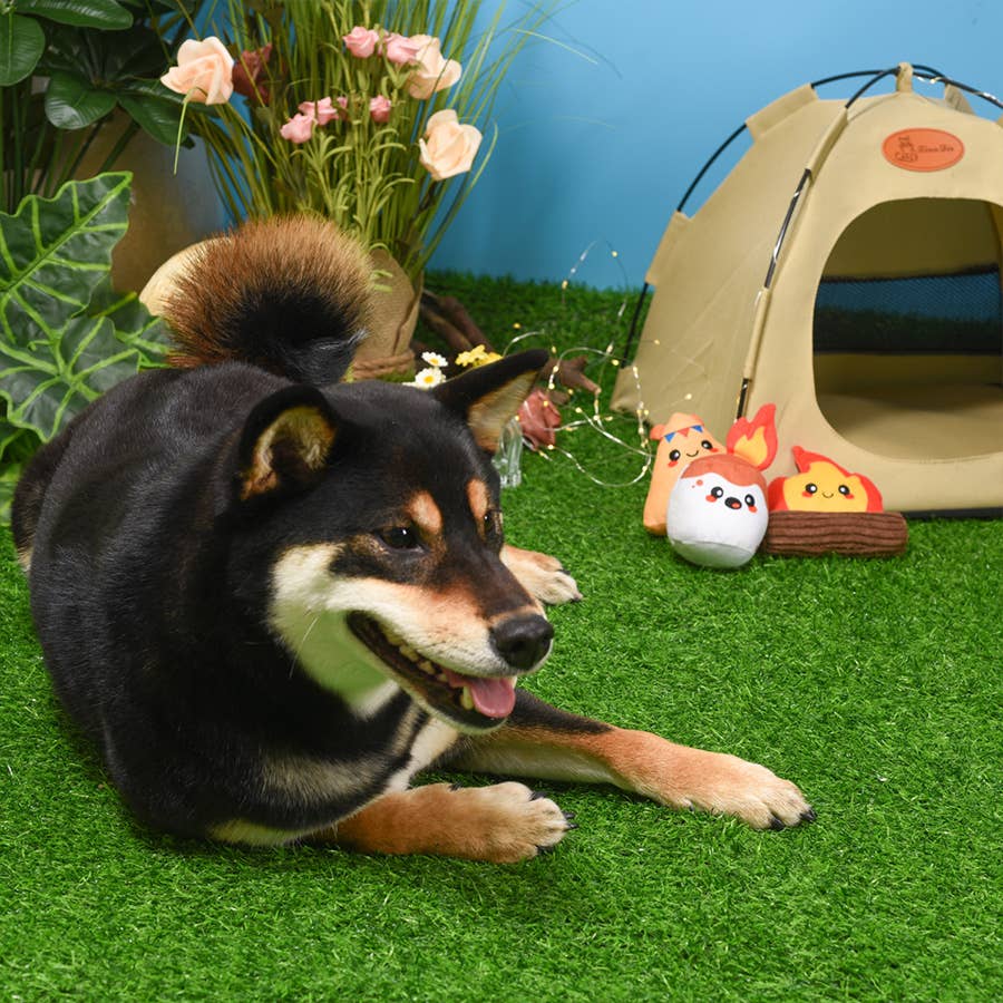 Camping Pups | Camp Hound - Dog Plush Toy - The Barkery LLC