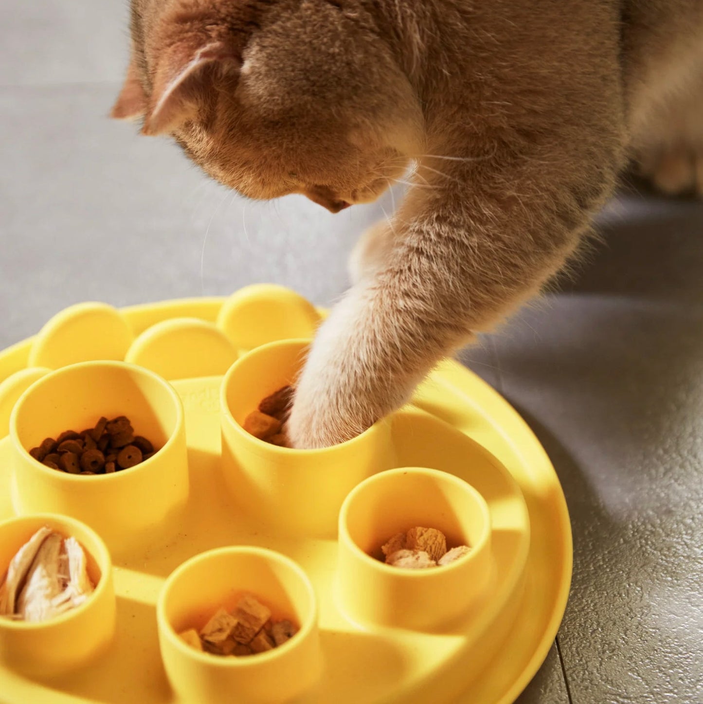 Cat Digger - The Barkery LLC