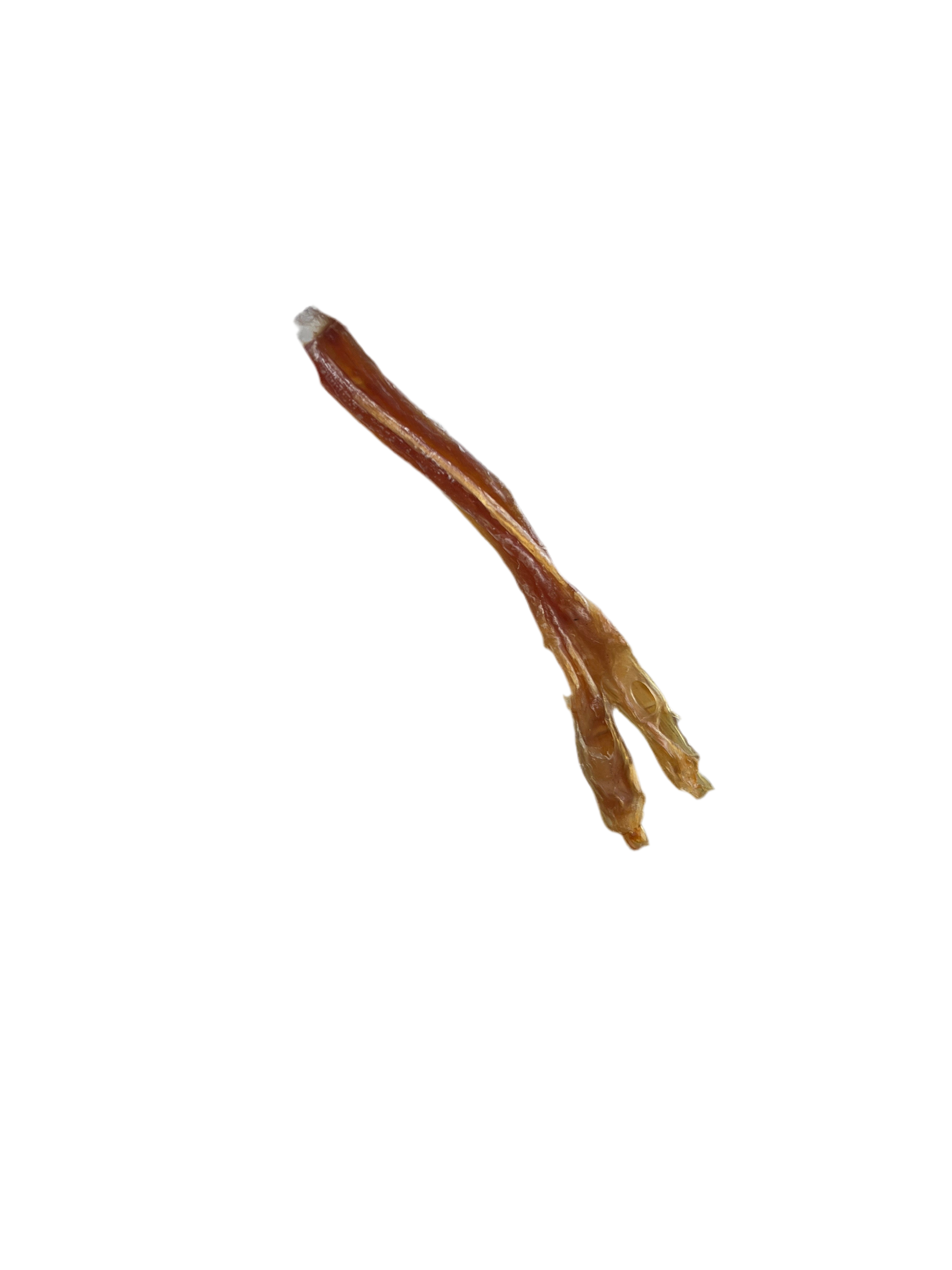 Beef Tendon
