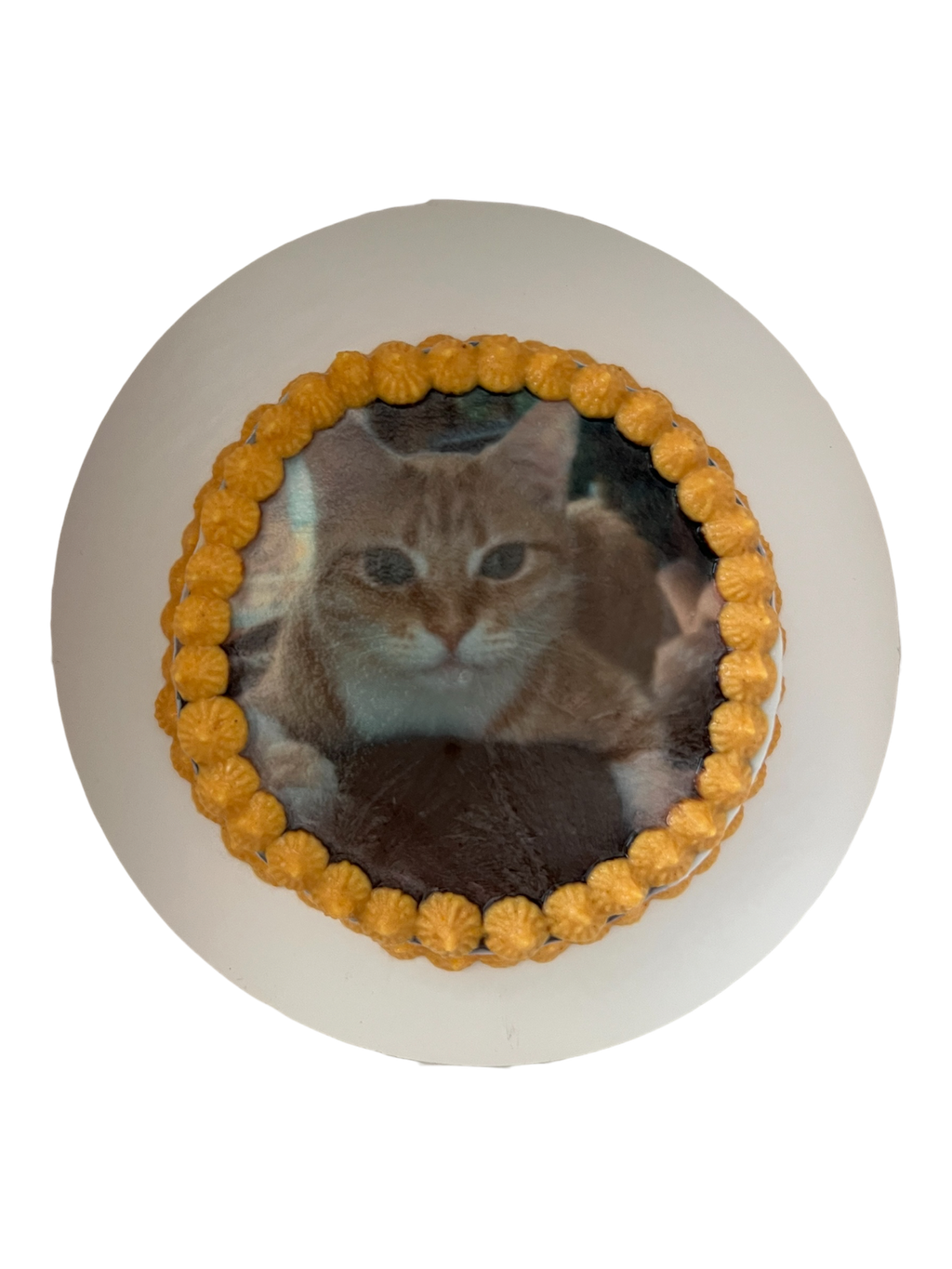 4inch Custom Image Cake (Cat & Dog)
