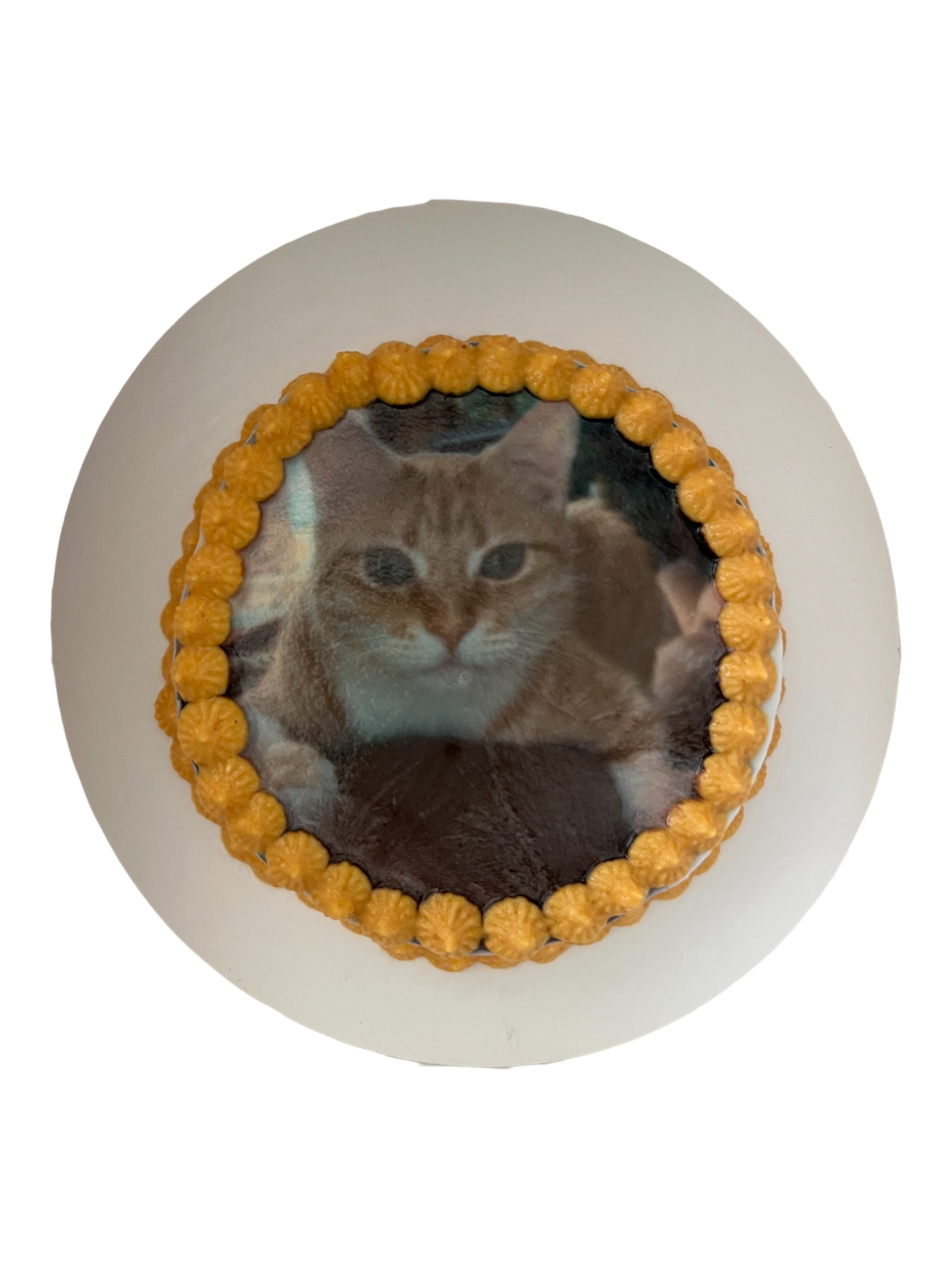 4inch Custom Image Cake (Cat & Dog)