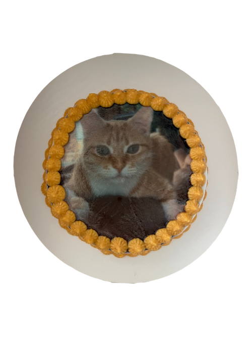 4inch Custom Image Cake (Cat & Dog)