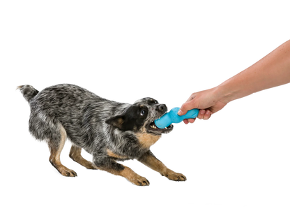 West Paw Rampus Chew Toy - The Barkery LLC