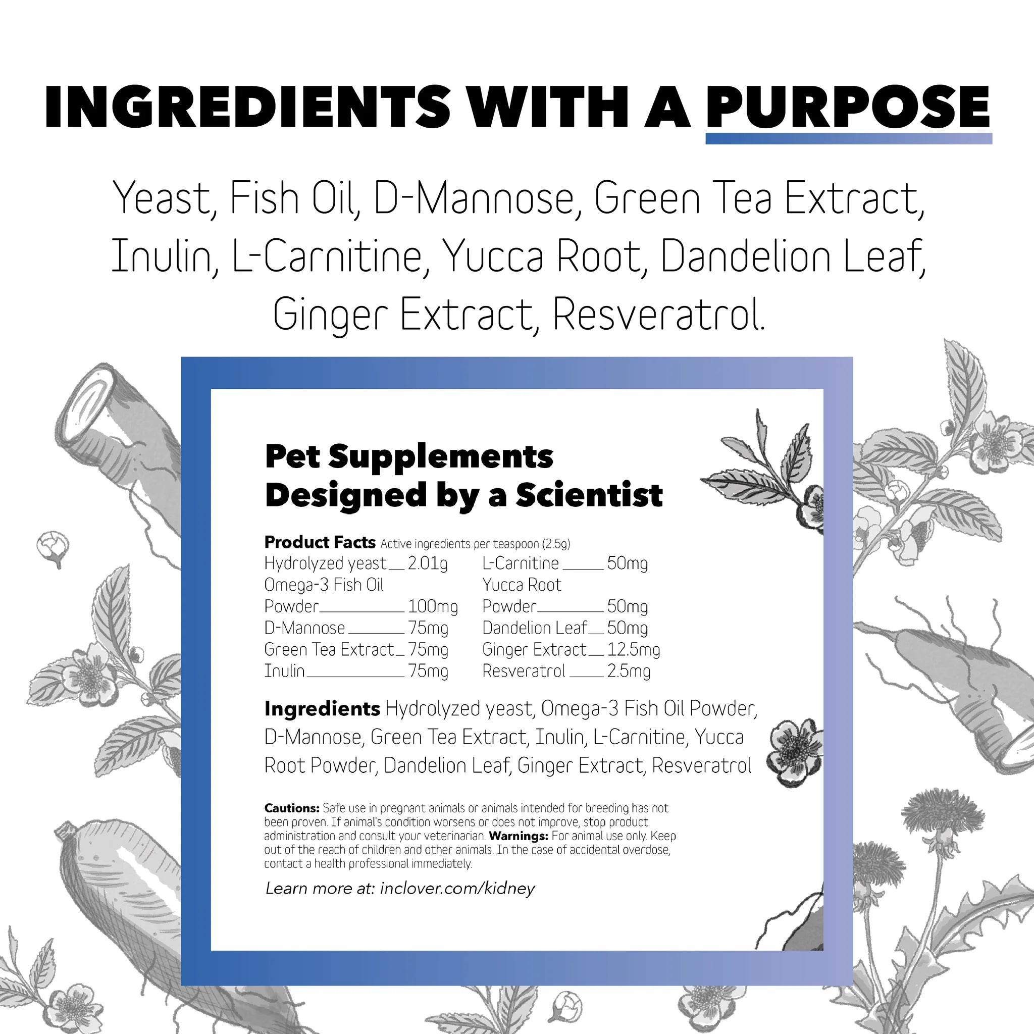 Kidney Supplement - The Barkery LLC