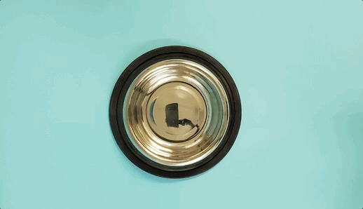 Optagest Digestive Aid - The Barkery LLC