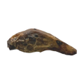 Duck head