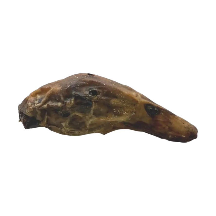 Duck head