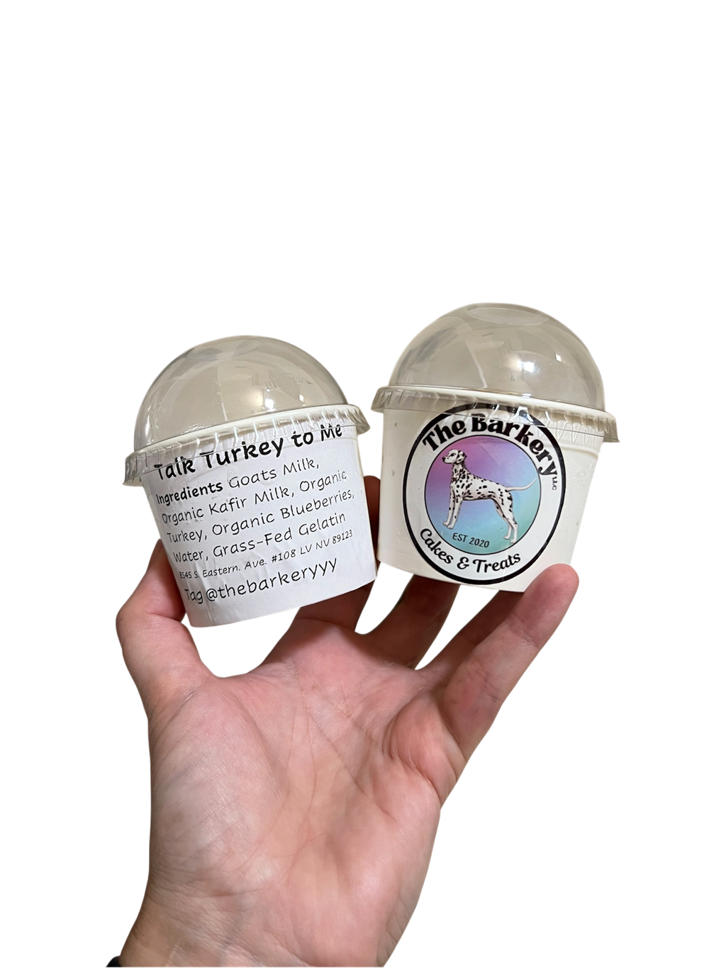 Dog Ice cream
