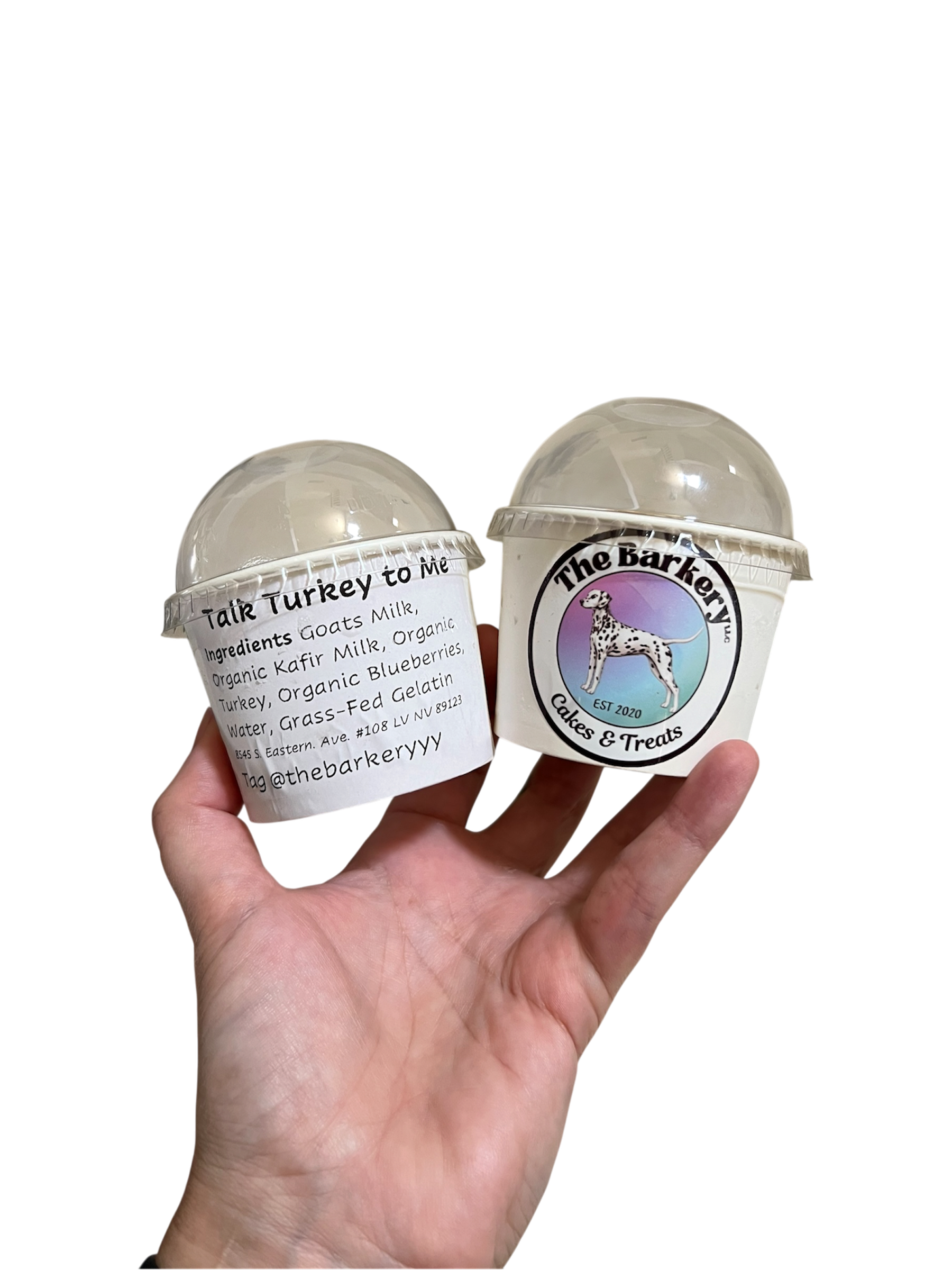 Dog Ice cream