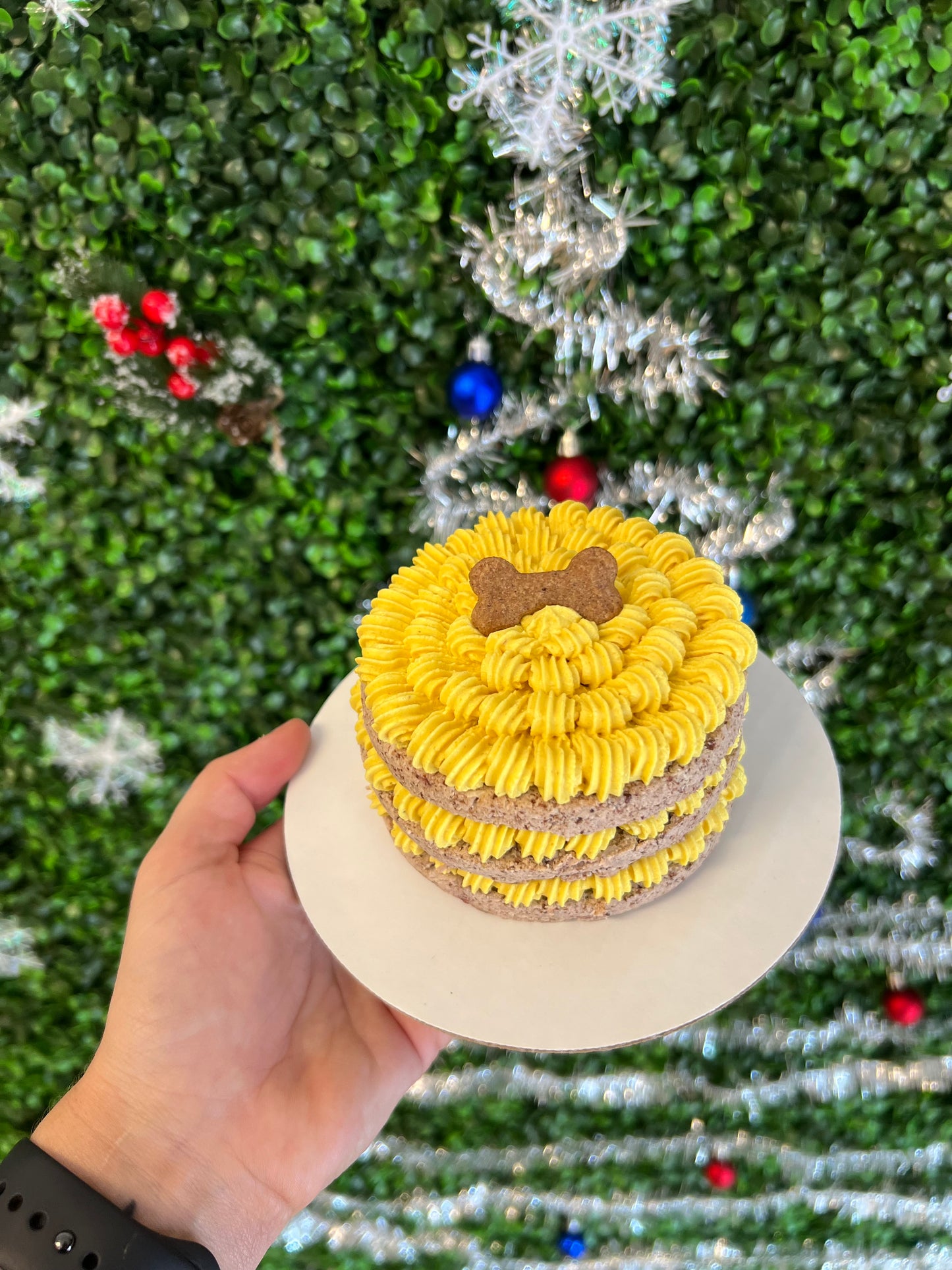 4inch Simple Cake Organic - The Barkery LLC