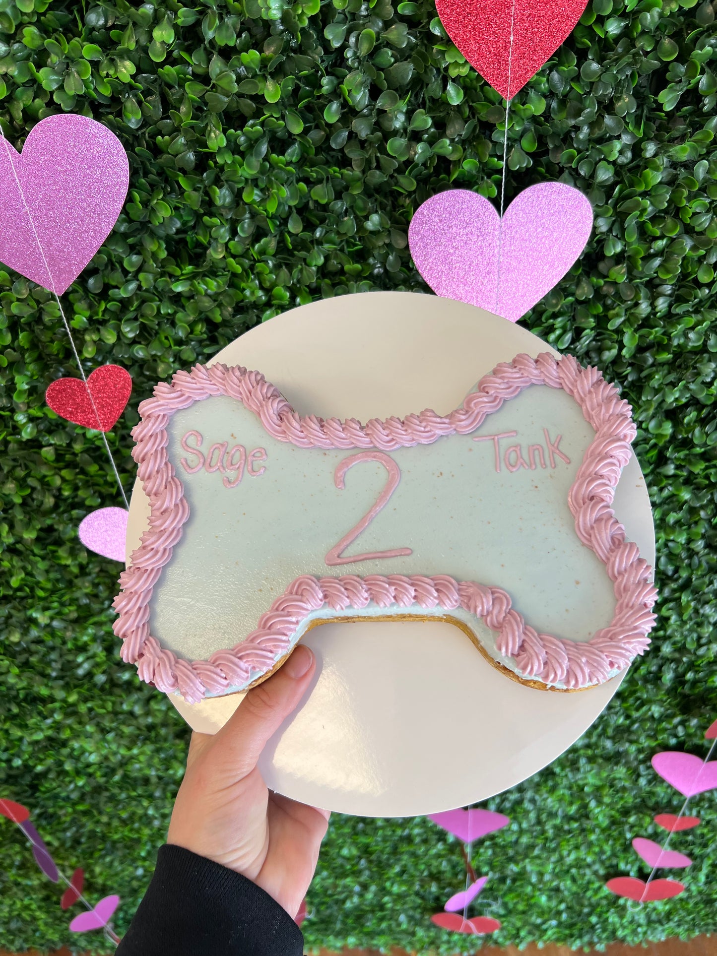 9inch Organic Bone Dog Cake for Celebrations