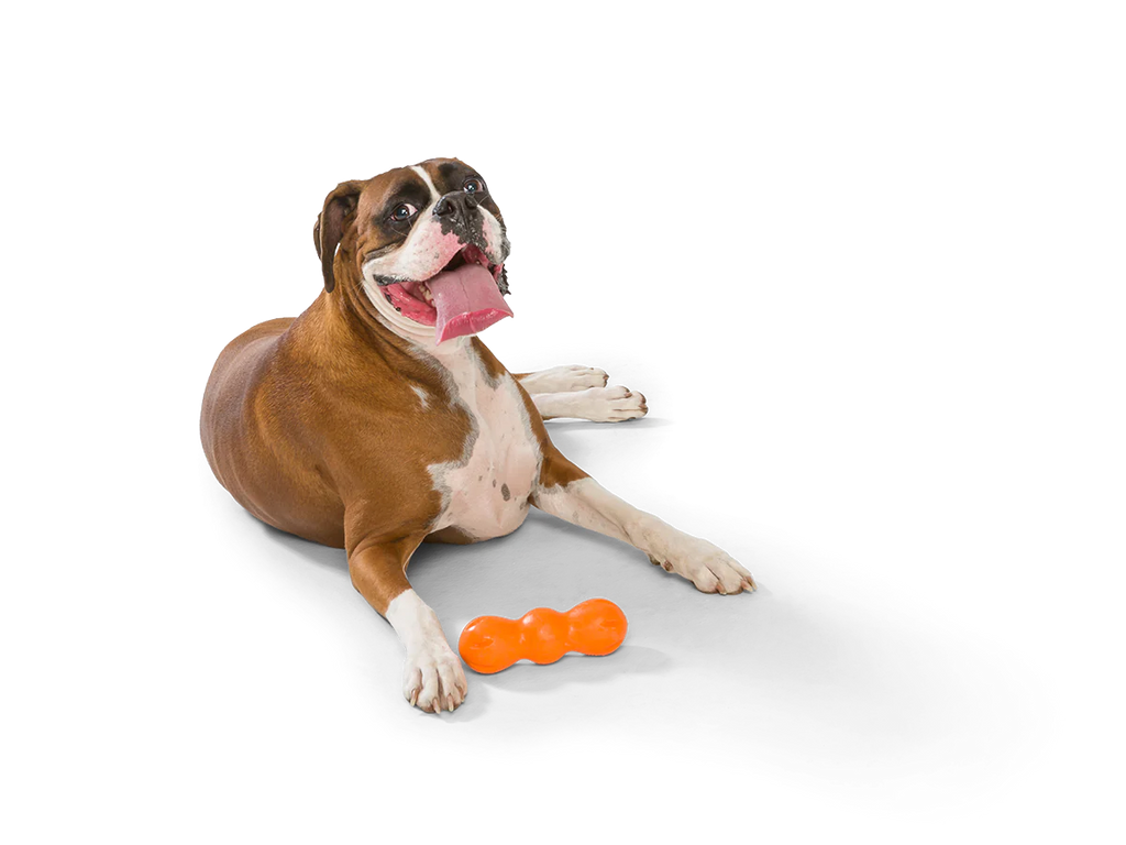 West Paw Rampus Chew Toy - The Barkery LLC