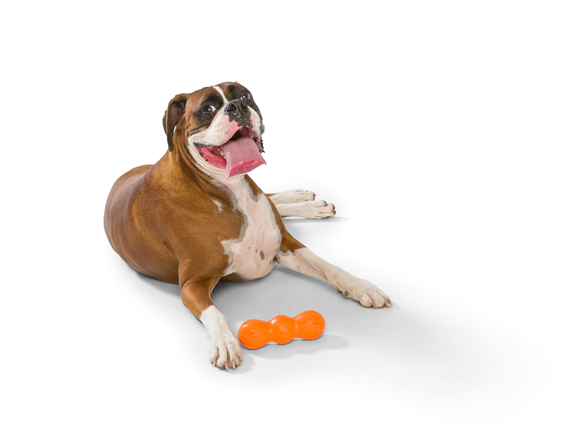 West Paw Rampus Chew Toy - The Barkery LLC