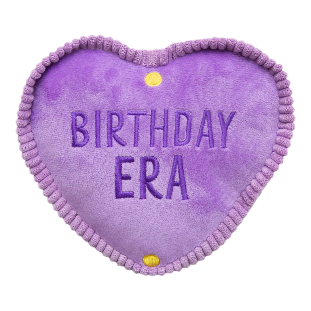 Birthday Era Plush Dog Toy