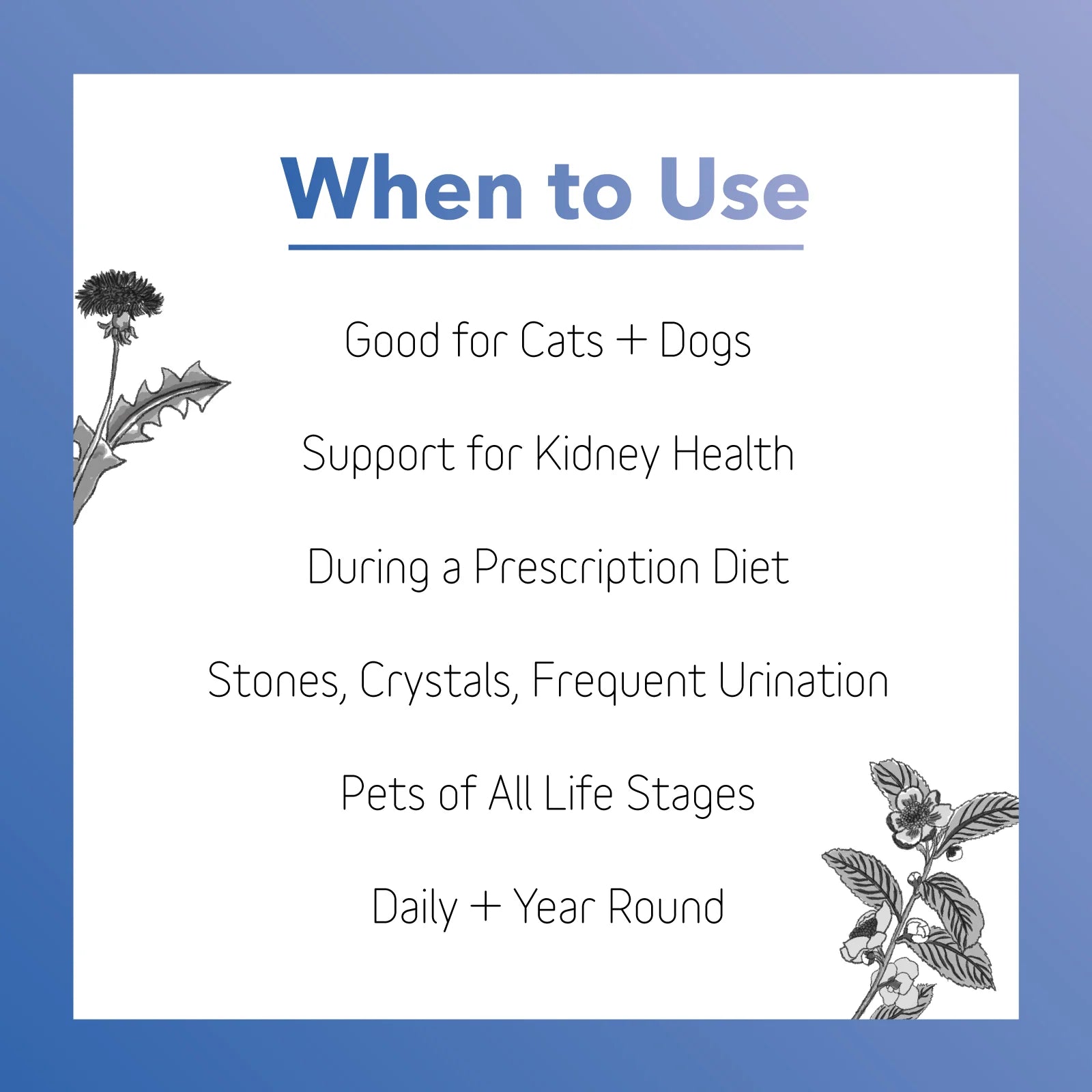 Kidney Supplement - The Barkery LLC