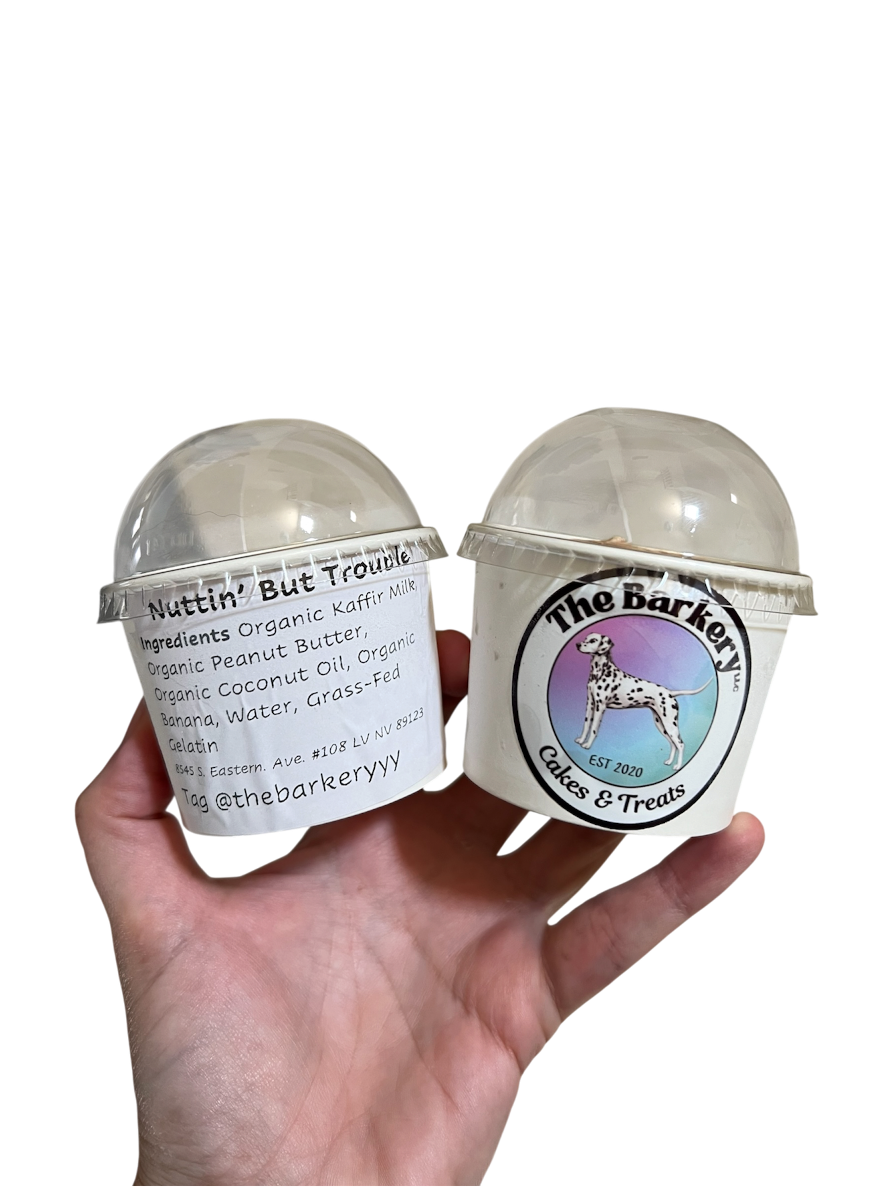 Dog Ice cream