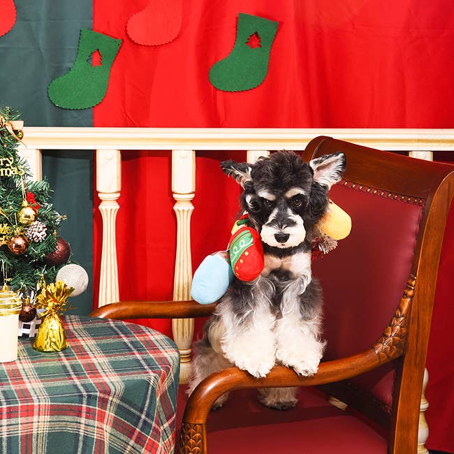 Happy Woofmas | Christmas Light - The Barkery LLC