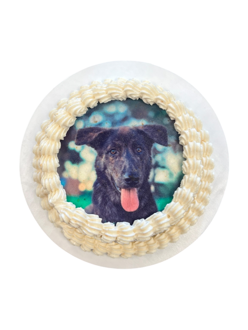 Cakes - The Barkery LLC
