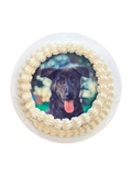 Cakes - The Barkery LLC
