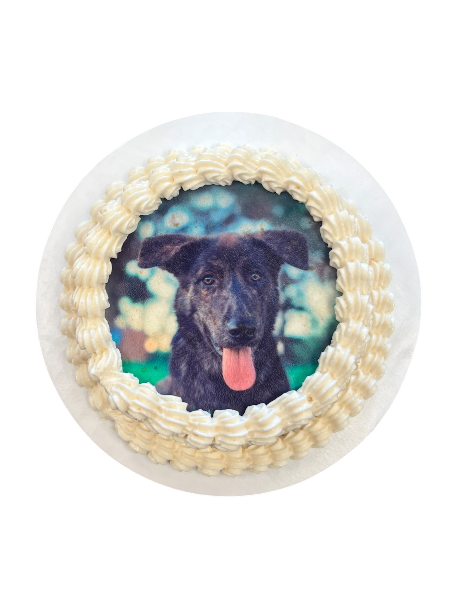Cakes - The Barkery LLC