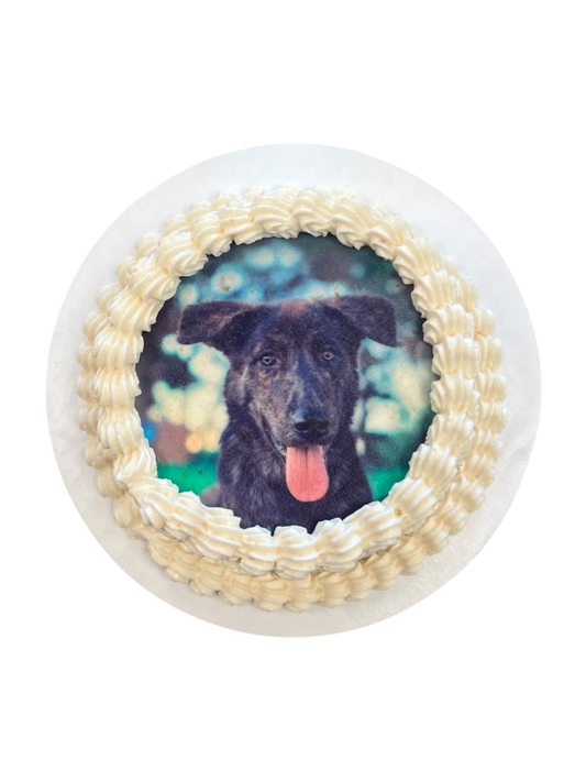 Cakes - The Barkery LLC