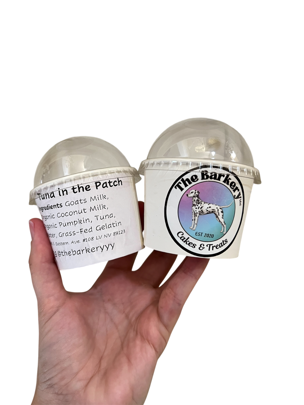 Dog Ice cream