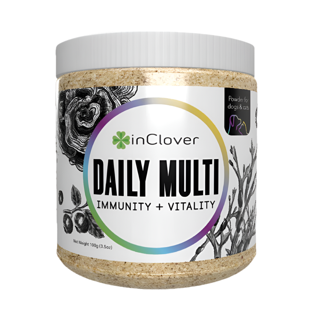 Daily Multi Supplement