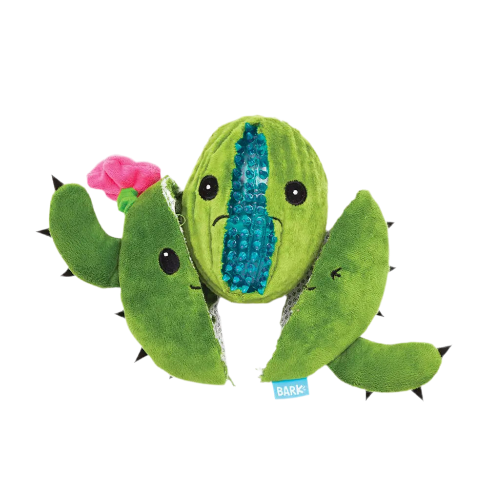Cactus Dog Toy