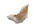 Rabbit Tails with Hair