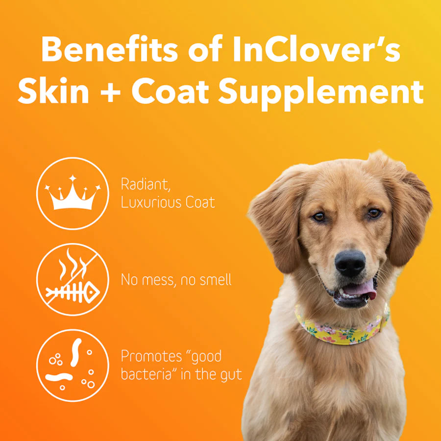 Skin & Coat Supplement - The Barkery LLC