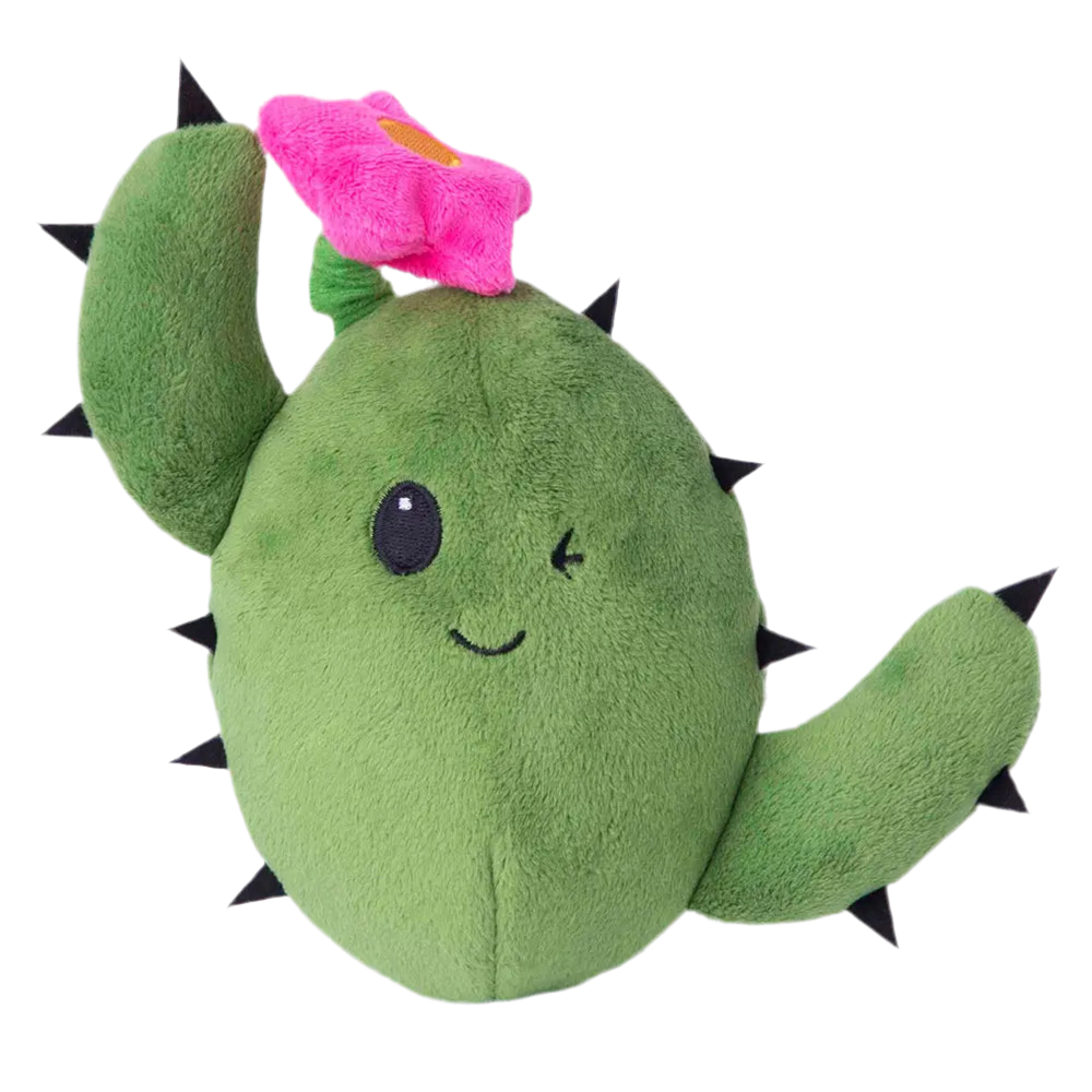 Cactus Dog Toy