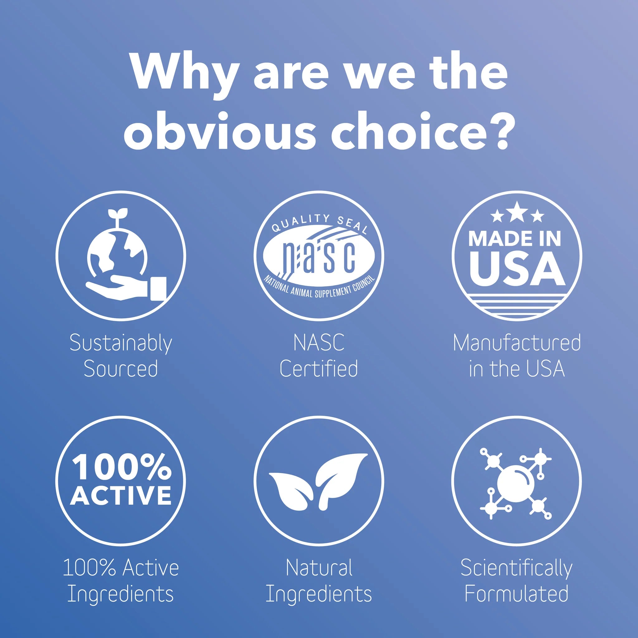 Kidney Supplement - The Barkery LLC