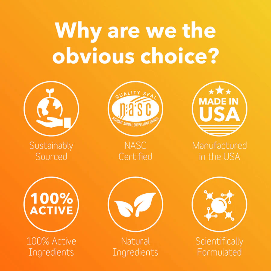 Skin & Coat Supplement - The Barkery LLC