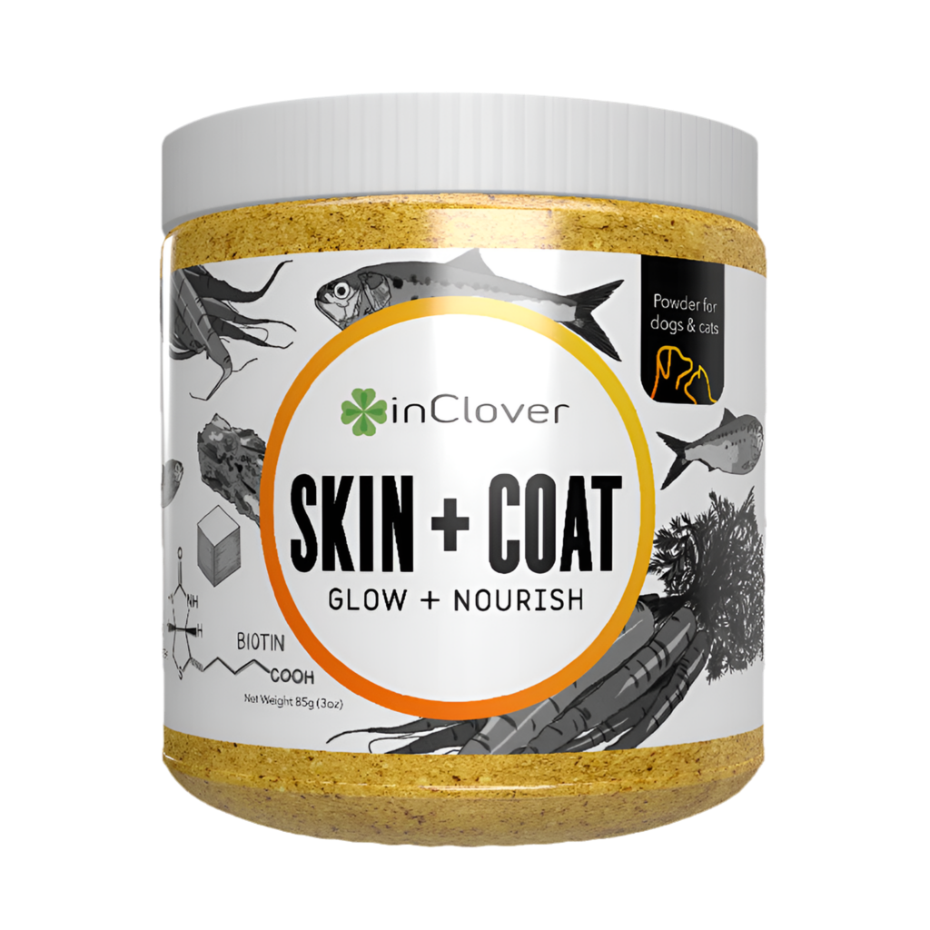 Skin & Coat Supplement