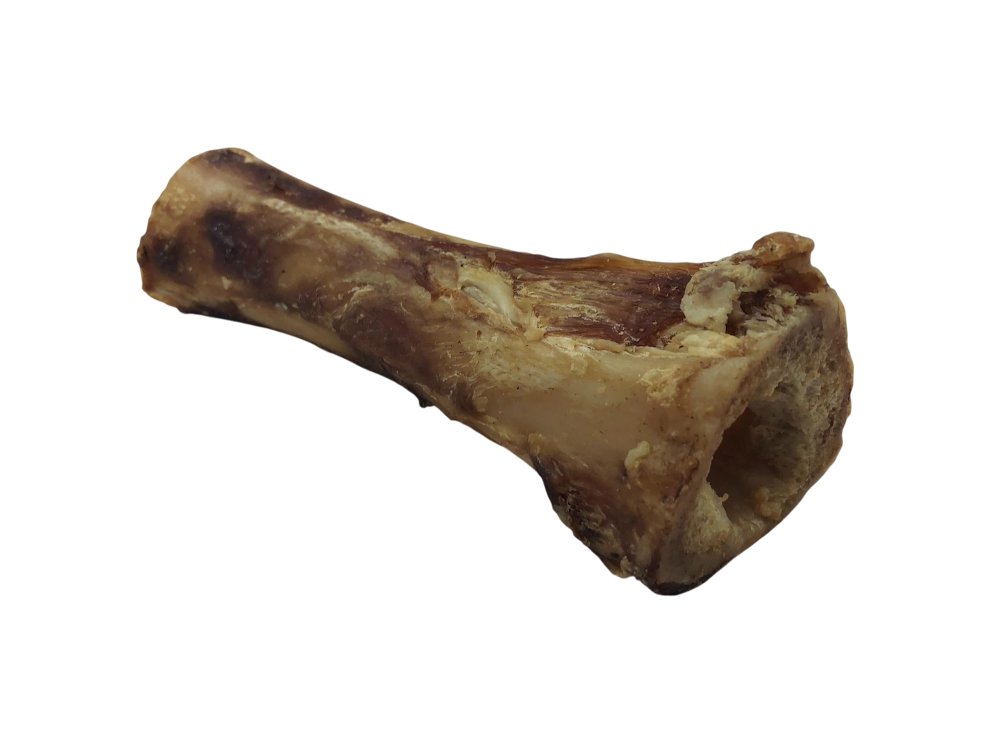 Buffalo Femur Bone with Marrow