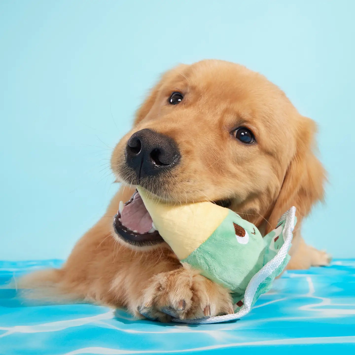Bark Melty Minty Monty Plush Dog Toy
