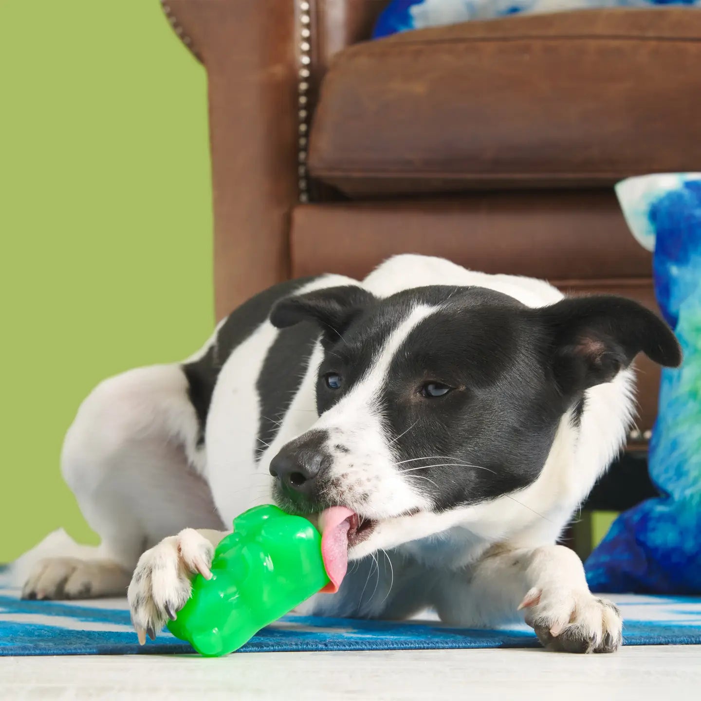 Bark Super Chewer Munchie the Bear Dog Chew Toy S