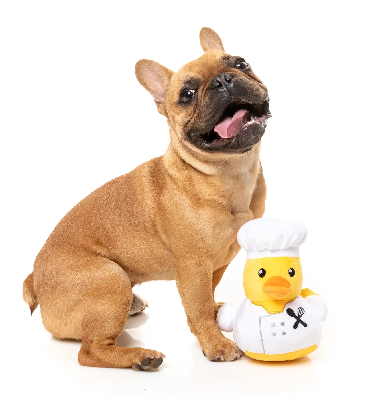 Fuzzyard Duck Plush Dog Toy Large