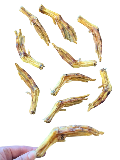 Organic Duck Feet for Dogs – Healthy, Digestible Joint Support