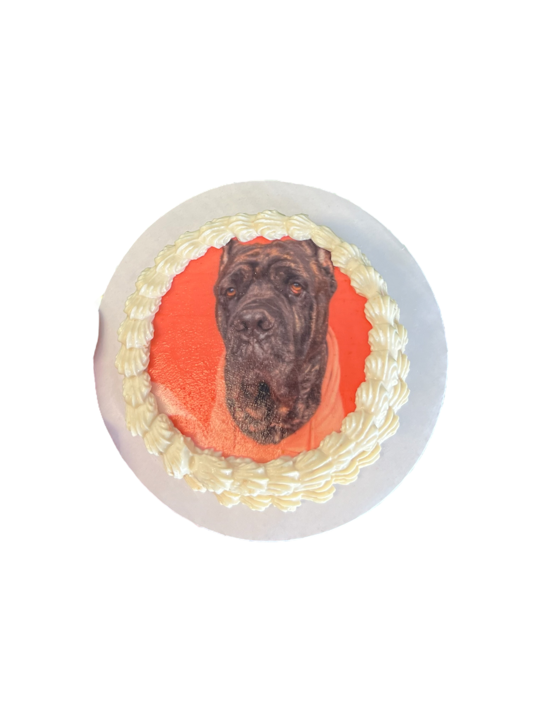 4inch Custom Image Dog Cake Organic