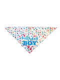 Birthday Bandanas (Tie)